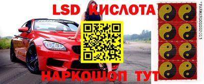 гашик Ливны