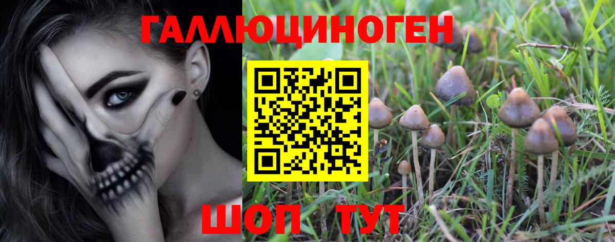 Владимир  Галлюциногенные грибы GOLDEN TEACHER  Вход с VPN 