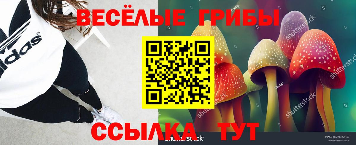 Псилоцибиновые грибы прущие грибы Владимир