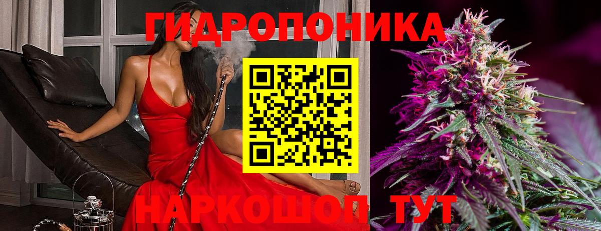 Бошки марихуана VHQ  Марихуана конопля  Каннабис конопля  Марихуана VHQ  Вход с VPN  Владимир 